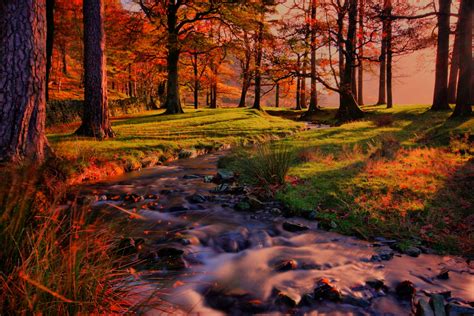 Nature Landscape Sunset Forest Tree Autumn River Trees Scenery View Hd Wallpaper