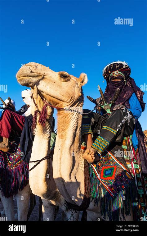 Tuareg Niger Camel Stockfotos Und Bilder Kaufen Alamy