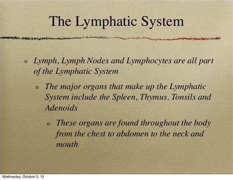Chapter 6 Lymph Lymph Node And Lymphocyte
