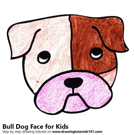Draw a curved line in the chin. Learn How to Draw a Bull Dog Face for Kids (Animal Faces ...