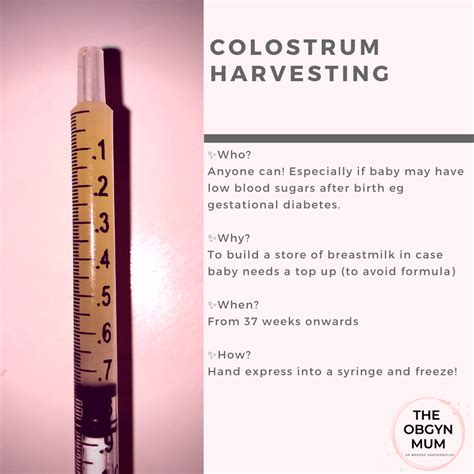 How To Express Colostrum Before Birth Why You Should Artofit