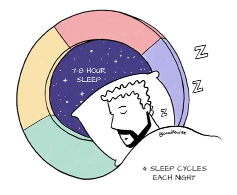 How Nrem And Rem Sleep Process And Consolidates Memories