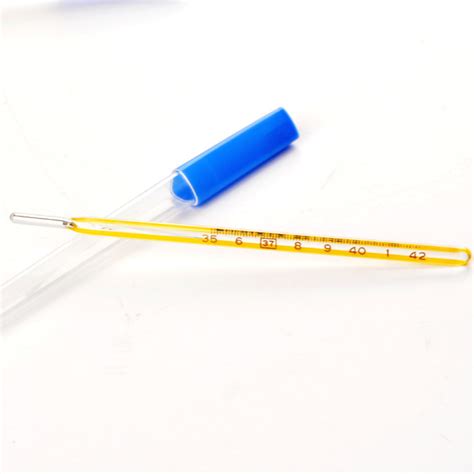 Wholesale Temperature Checker Clear Glass Mercury Thermometer For All Oral Armpit Mouth China