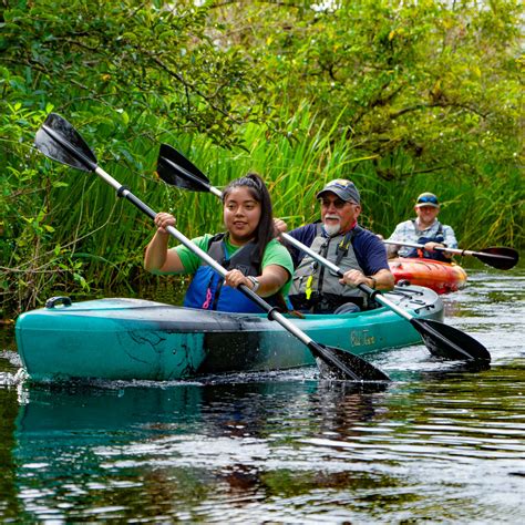 Home Everglades Adventures Kayak And Eco Tours