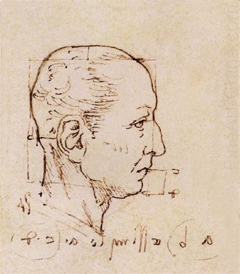 Another Study Of The Proportion Of The Head Leonardo Da Vinci Drawing