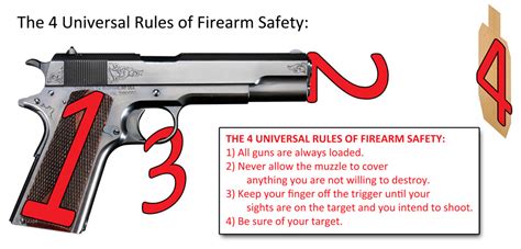 The 4 Universal Rules Of Firearm Safety A Visual Guide  Firearms