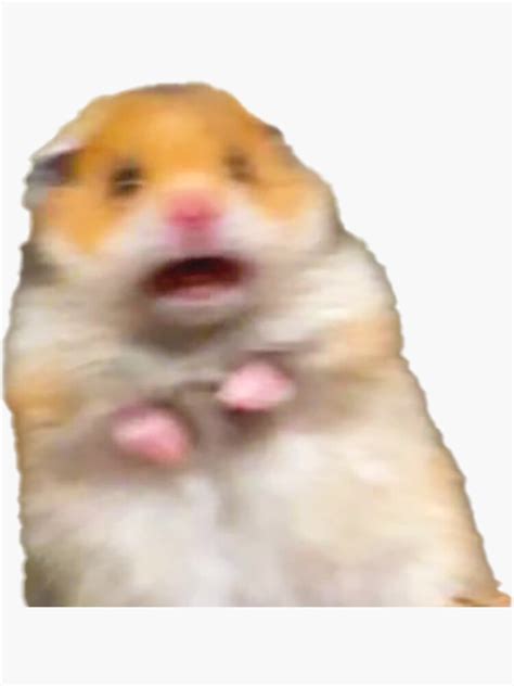 Scared Hamster Meme Sticker For Sale By Helpmepayrent Redbubble