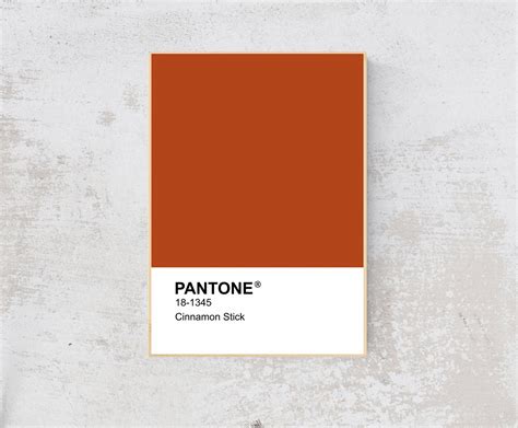 Pantone Pantone Cinnamon Stick Pantone 2020 Fashion Wall Etsy