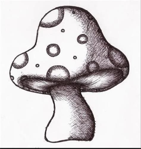 Simple Mushroom Drawing At Getdrawings Free Download