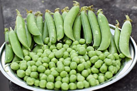 Guide To Types Of Peas