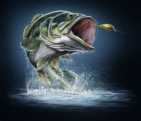Clip Art Largemouth Bass Drawing Image Fish Jumping Out Of Water My