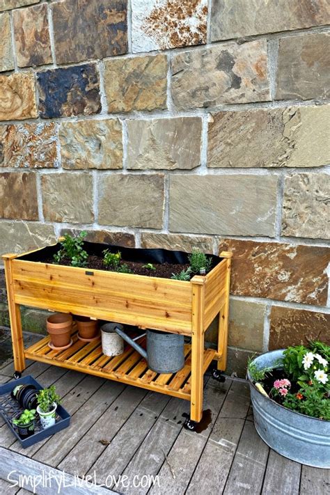 Create A Portable Patio Herb Garden In 4 Easy Steps Simplify Live Love