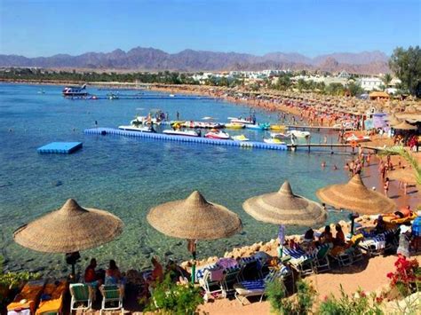تبلغ مساحتها 480 كم، ويصل عدد سكانها إلى 35 ألف نسمة، وتعد أكبر مدن محافظة جنوب سيناء. أفضل 9 أنشطة في خليج نعمة شرم الشيخ في مصر - رحلاتك