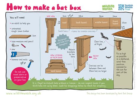 Make Your Own Bat Box Scottish Wildlife Trust