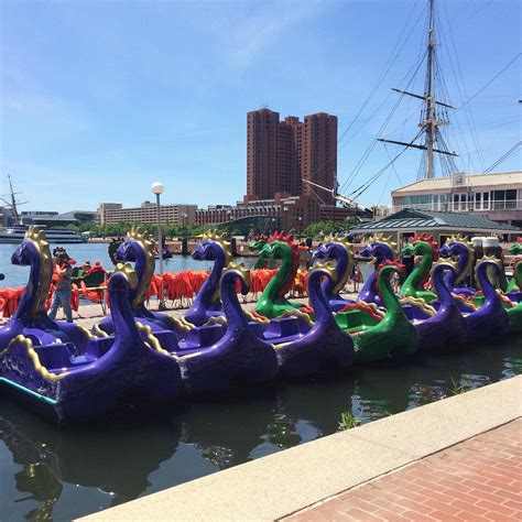 Inner Harbor Paddle Boats Baltimore All You Need To Know Before You Go