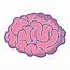 Human Brain Anatomy To Creative And Intellect 655670 Vector Art At Vecteezy