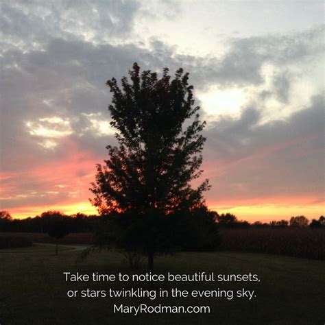 Share this post with others. Quote from Bloom Where You're Planted by Mary Rodman | Bloom where youre planted, Evening sky ...