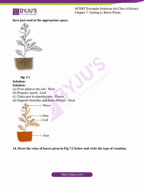 Ncert Exemplar Solutions For Class 6 Science Chapter 7 Getting To