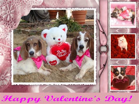 Free Download Valentines Day Puppies Free Wallpaper Picseriocom