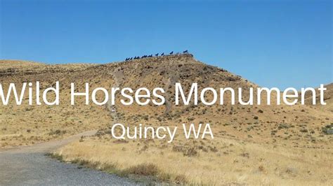 Wild Horses Monument Quincy Wa Eastbound I 90 Youtube