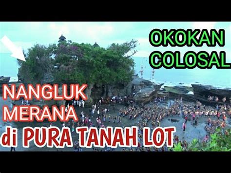 Okokan Colosal Nangluk Merana Di Pura Tanah Lot Bali Tutyadnya Bali
