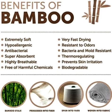 Bae B Talk — 🐼 Benefits Of Bamboo 🎋