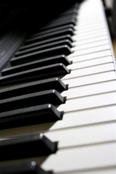 Electronic Piano Keyboard Picture Free Photograph Photos Public Domain