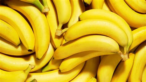 Как вырастить банан в домашних условиях из банана пошаговое руководство