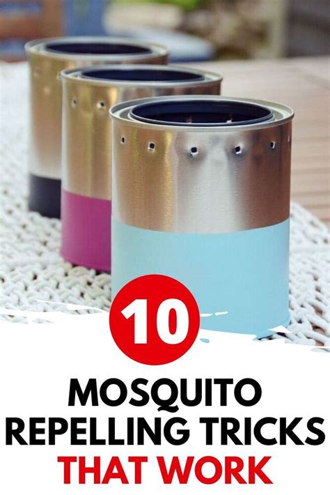 Easy Homemade Mosquito Repellent Recipes For Yard And Home Try These