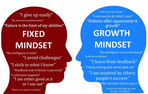 Fixed And Growth Mindset