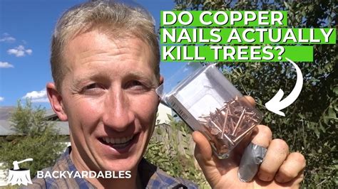Do Copper Nails Kill Tree Roots Tutorial Pics