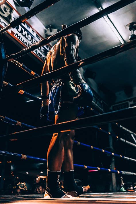 运动人物素材摄影高清拍摄拳击运动员的健硕的背影