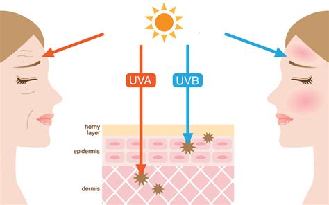 How The Various Types Of Uv Rays Affect Your Skin Skinkraft