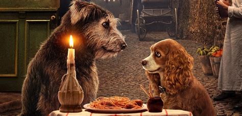 Lady And The Tramp 2019 Cast And Everything You Need