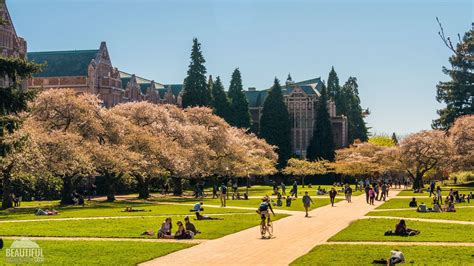 University Of Washington Wallpapers Top Free University Of Washington