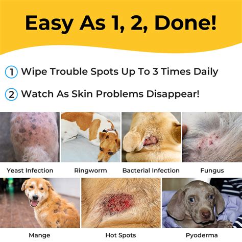 Buy Smiling Paws Pets Antibacterial And Antifungal Wipe For Dogs And Cats