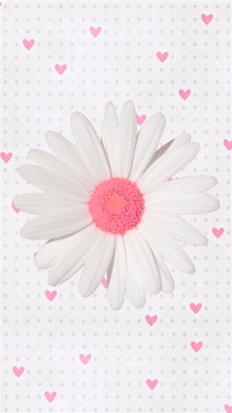 A White And Pink Flower With Hearts In The Background