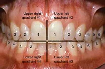 Frequently Asked Questions About Teeth And Dental Health