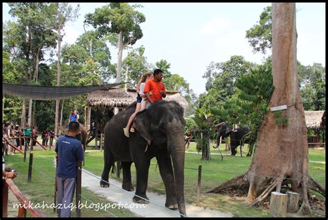 Take this fantastic trip to the kuala gandah elephant sanctuary to meet these amazing creatures.you will also visit the magical batu caves. mikahaziq: Elephant Sanctuary ; Kuala Lumpur Day Trip