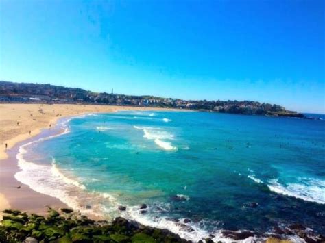Topless Bondi Beach Sydney Traveller Reviews Tripadvisor