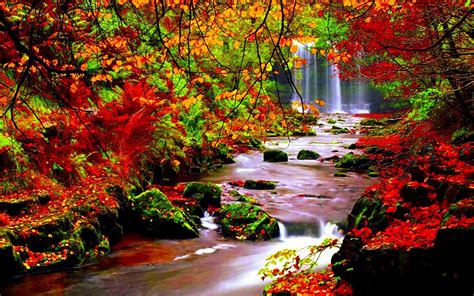 Free Download Autumn River Wallpaper Full Hd Autumn River Wallpaper
