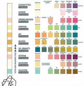 Urine Dipstick Color Chart
