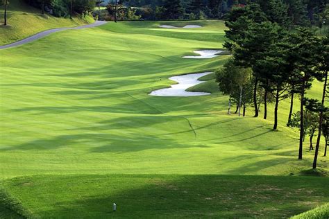 Hd Wallpaper Golf Green Field Grass Sport Golfers Golf Course