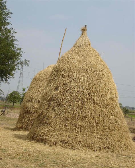 When you visit any website, it may store or retrieve information on your browser, mostly in the form of cookies. "The Hay Is In The Barn" | Bald Runner