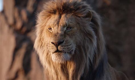 The Lion King Review Disneys Photorealistic Remake Is A Disaster