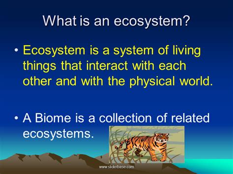 That means that within each of these biomes there is a range of. Ecosystems - Presentation Ecology