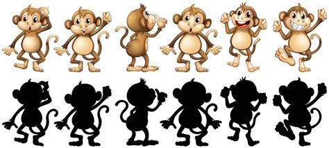 Monkeys And Its Silhouette In Different Posts 434020 Vector Art At Vecteezy