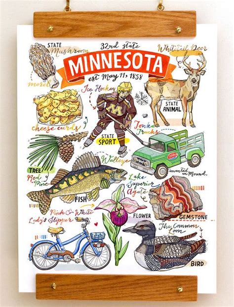 Minnesota State Print Illustration Map State Symbols Bird Etsy