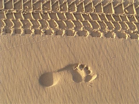 Free Images Beach Sand Wing Wood Footprint Footstep Vehicle