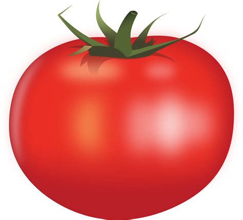 Desenho De Tomate